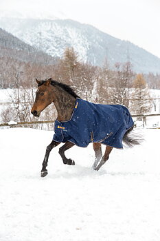 Bucas Irish Turnout 300g Horse Rug - Navy/Gold