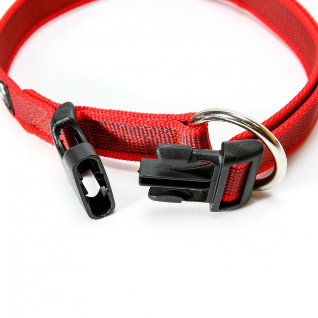 Julius-K9 Color & Gray Hundehalsband 25 mm - 3