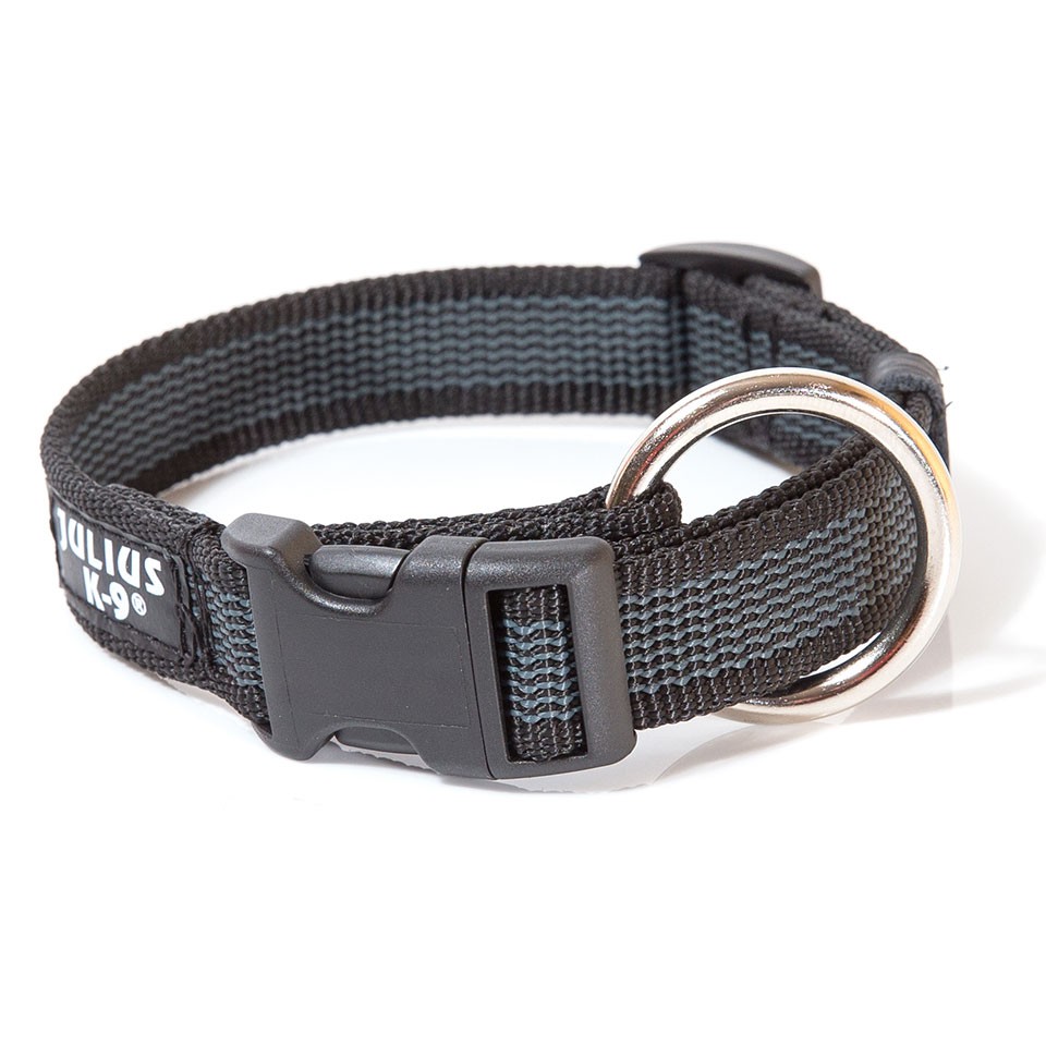 Julius-K9 Color & Gray Hundehalsband 25 mm - PETSTER