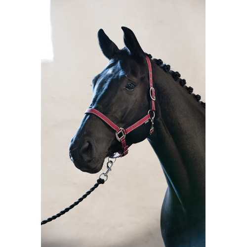 Eldorado Rio Halter