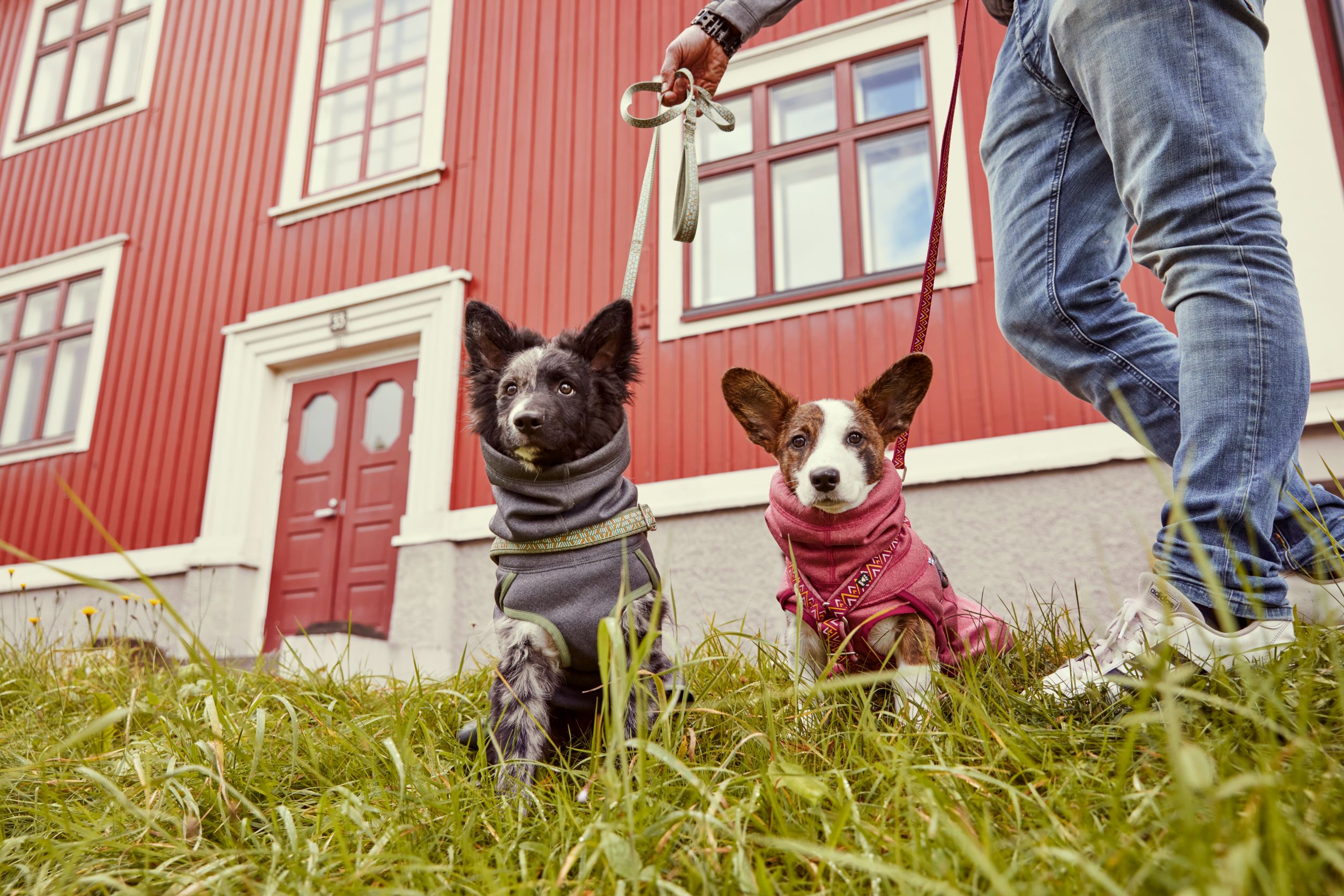 Hurtta Razzle-Dazzle Midlayer Vändbar Hundjacka Blackberry - Grå/Grön, 55 - 6