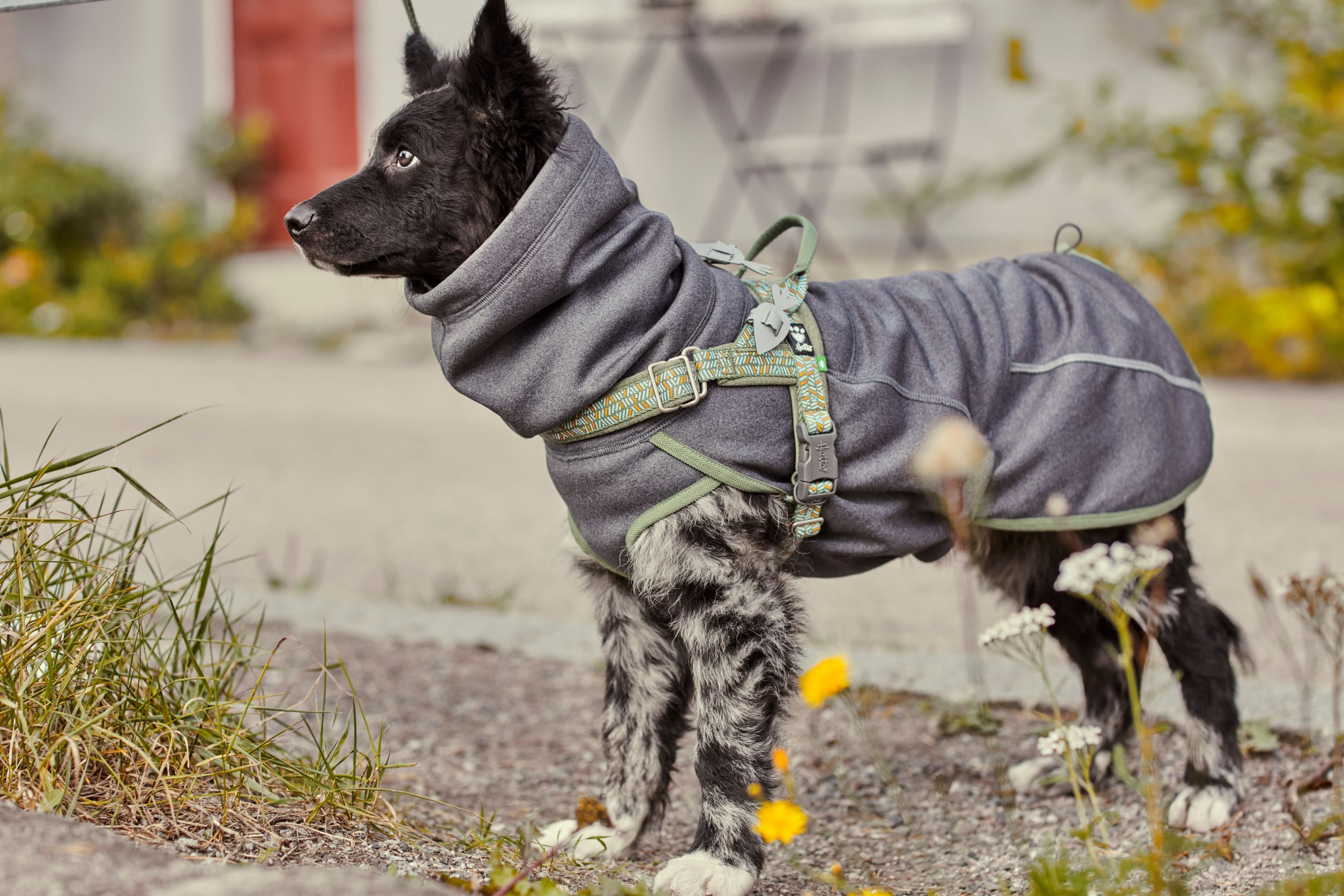 Hurtta Razzle-Dazzle Midlayer Vändbar Hundjacka Blackberry - Grå/Grön, 55 - 8