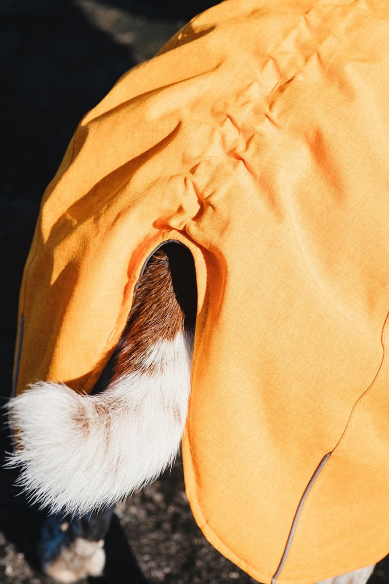 Hurtta Expedition Parka - Bucktorn (Orange), 30 XL - 2