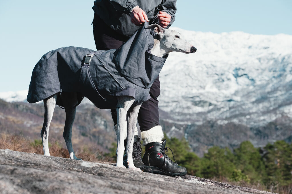 Hurtta Expedition Parka - Blackberry (Dark Gray), 45XS