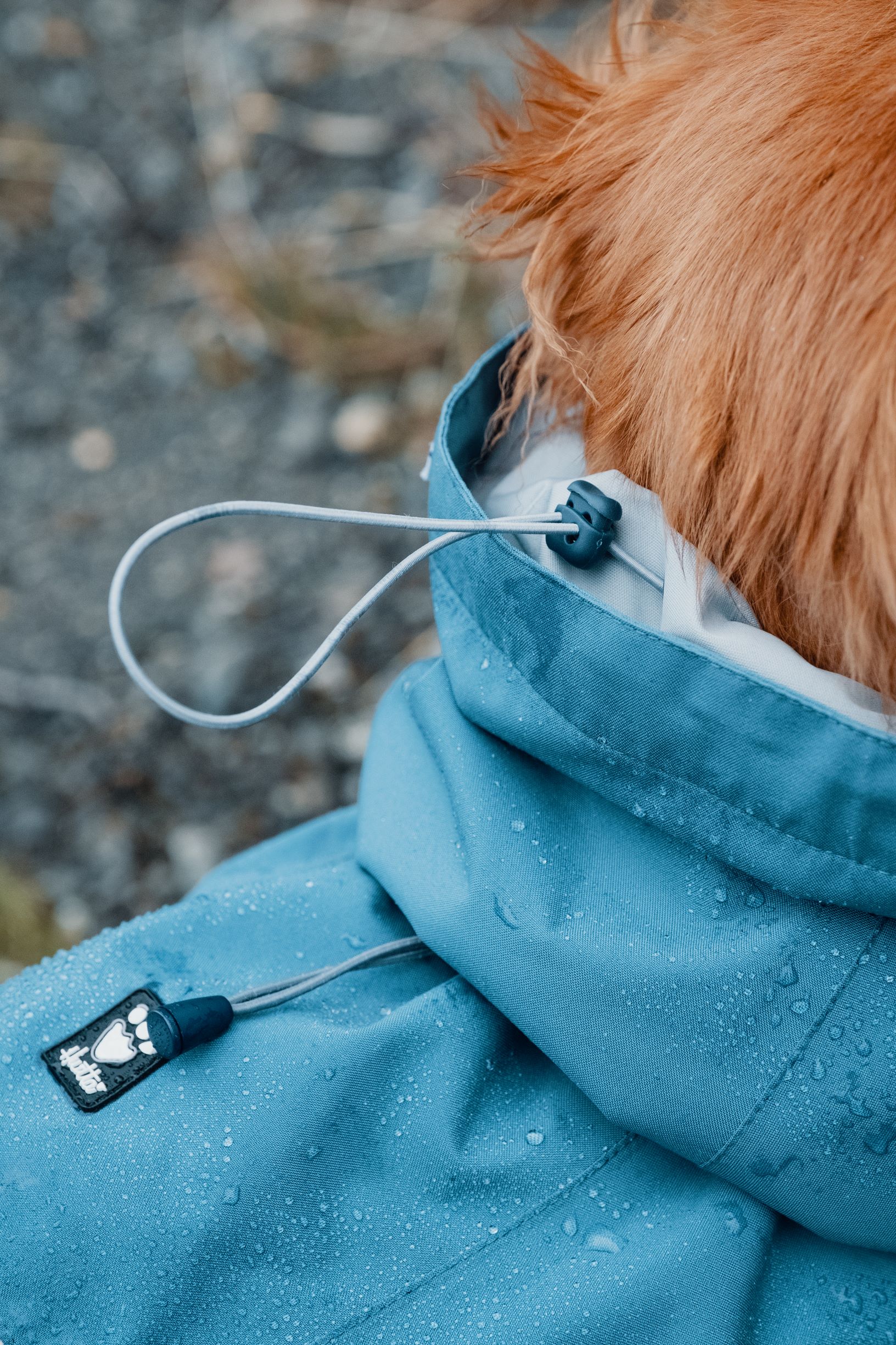 Hurtta Monsoon Coat ‑sadetakki – mustikka, 45 - 4