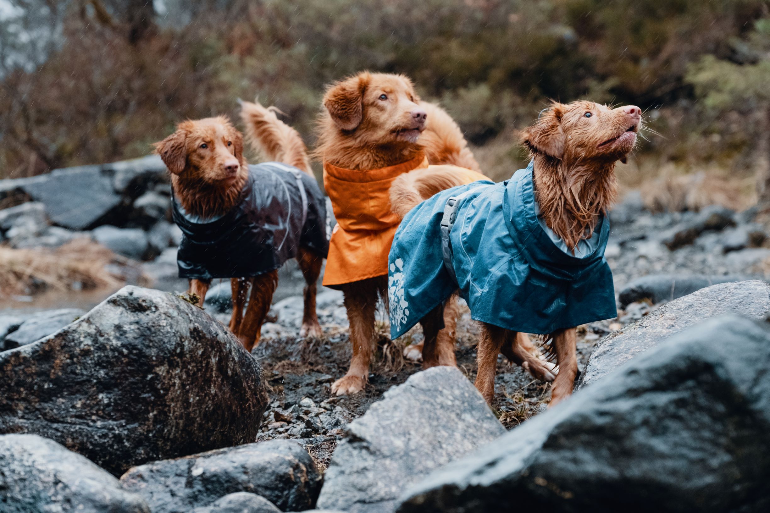 Hurtta Monsoon Coat ‑sadetakki – mustikka, 40 - 7