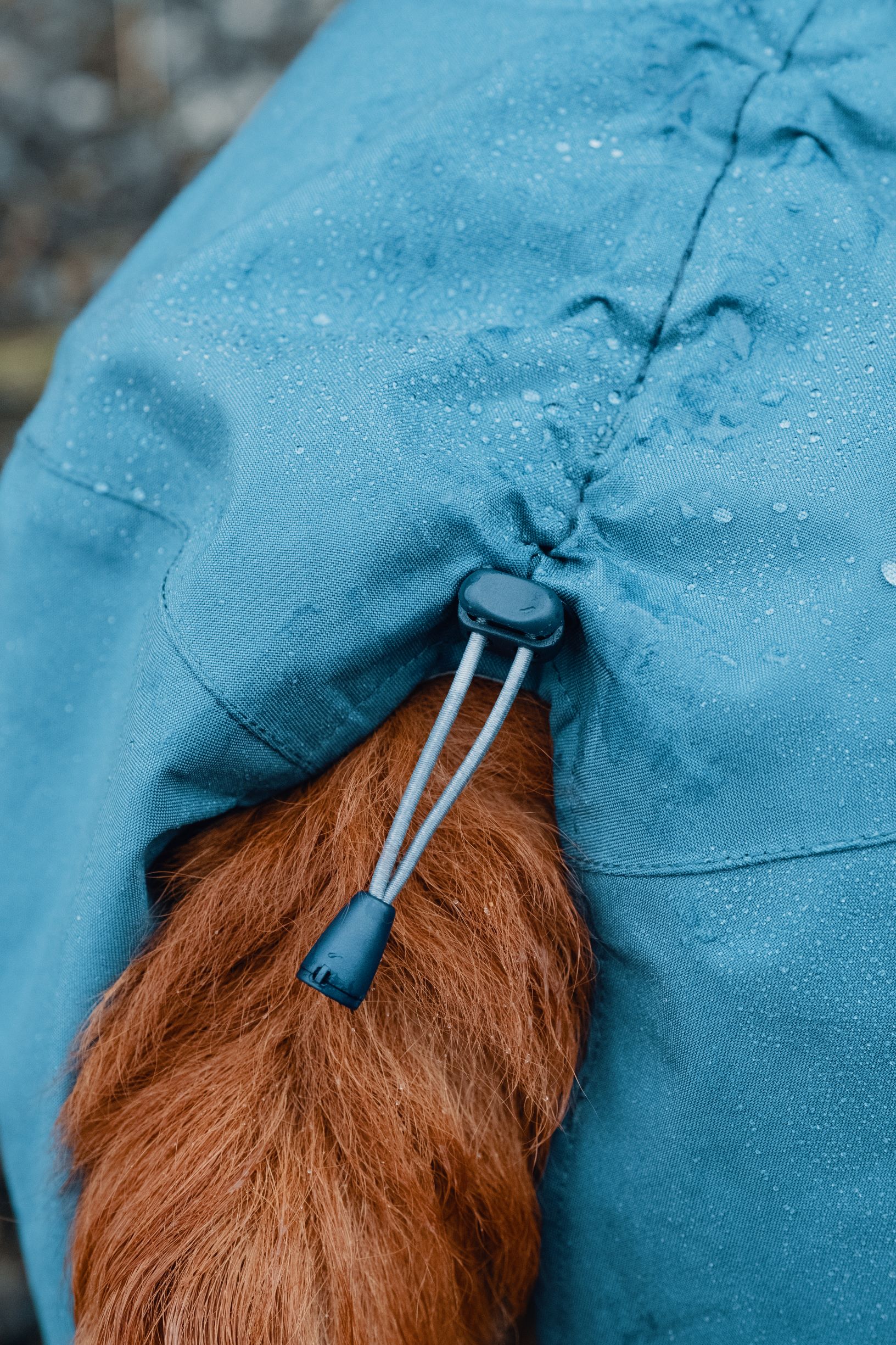 Hurtta Monsoon Coat ‑sadetakki – mustikka, 40 - 6