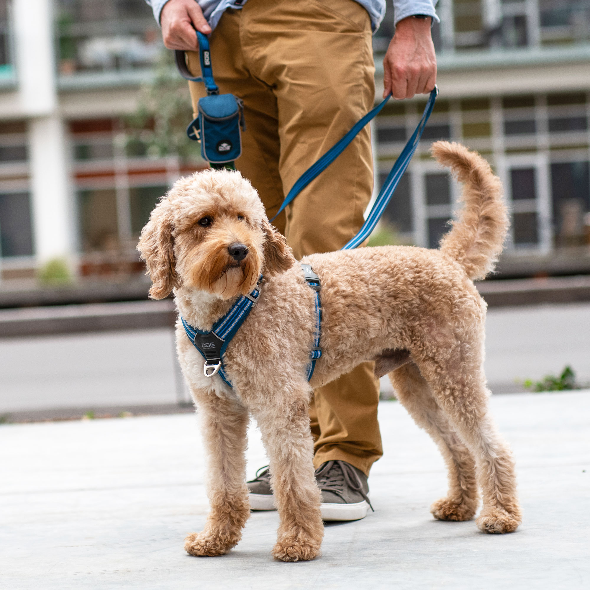 Dog Copenhagen Comfort Walk Air Harness - Mocca
