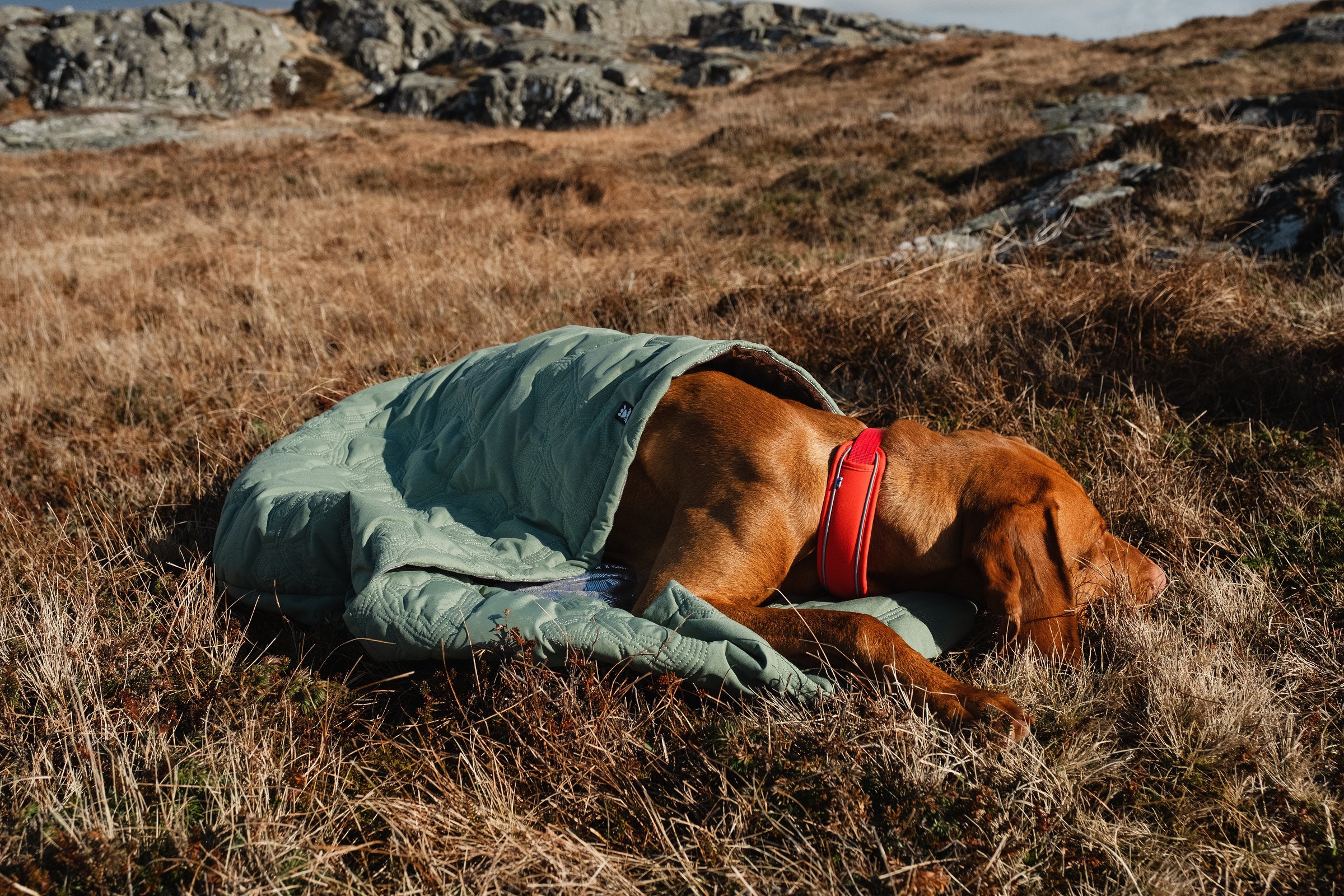 Hurtta Outback Dreamer Sleeping Bag ECO, S - 6