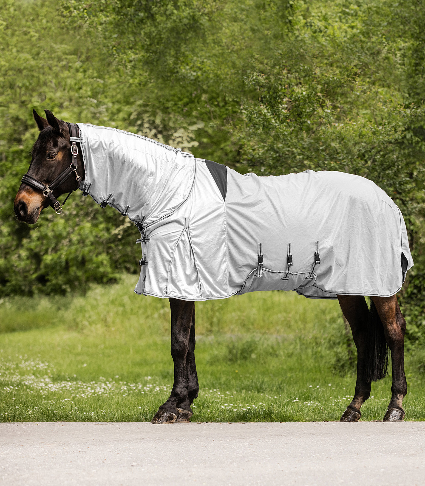 Waldhausen PROTECT Eczema-Fly Rug silver grey/gray (115)
