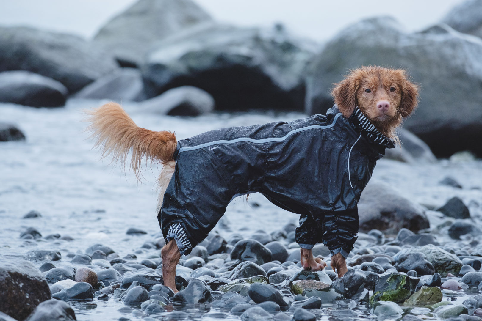 Hurtta Downpour ‑haalari – musta, 60L - 4