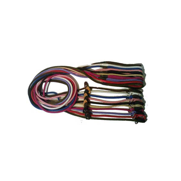 dog show leads