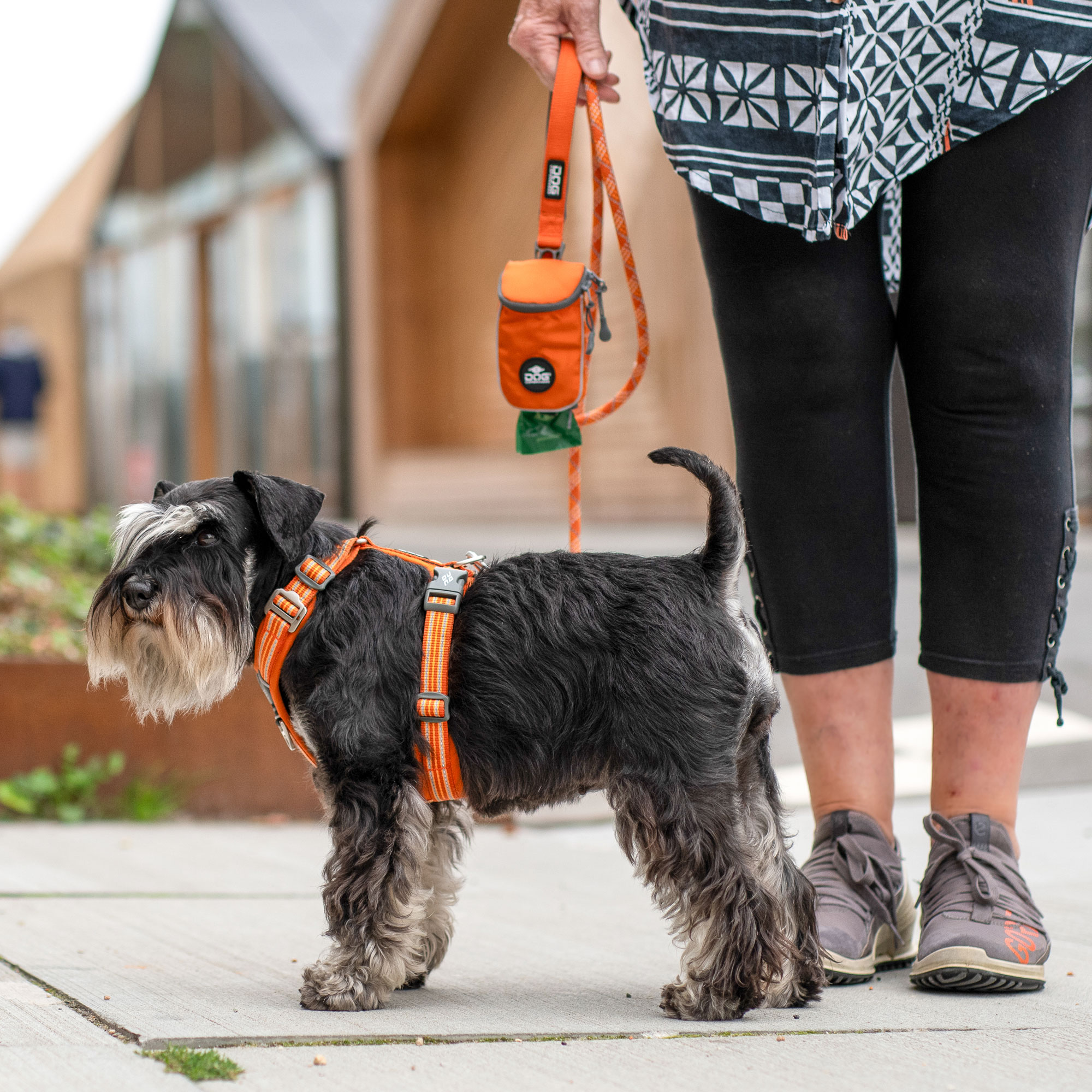 Dog Copenhagen Comfort Walk Air Sele - Orange Sun