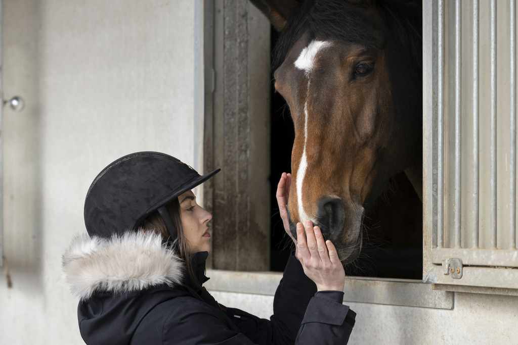 EQUITHEME 'Glint Lam' Helmet Black/Rose Gold Colour - 5