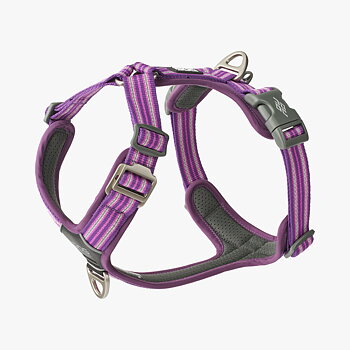Dog Copenhagen Comfort Walk Air Sele - Purple Passion