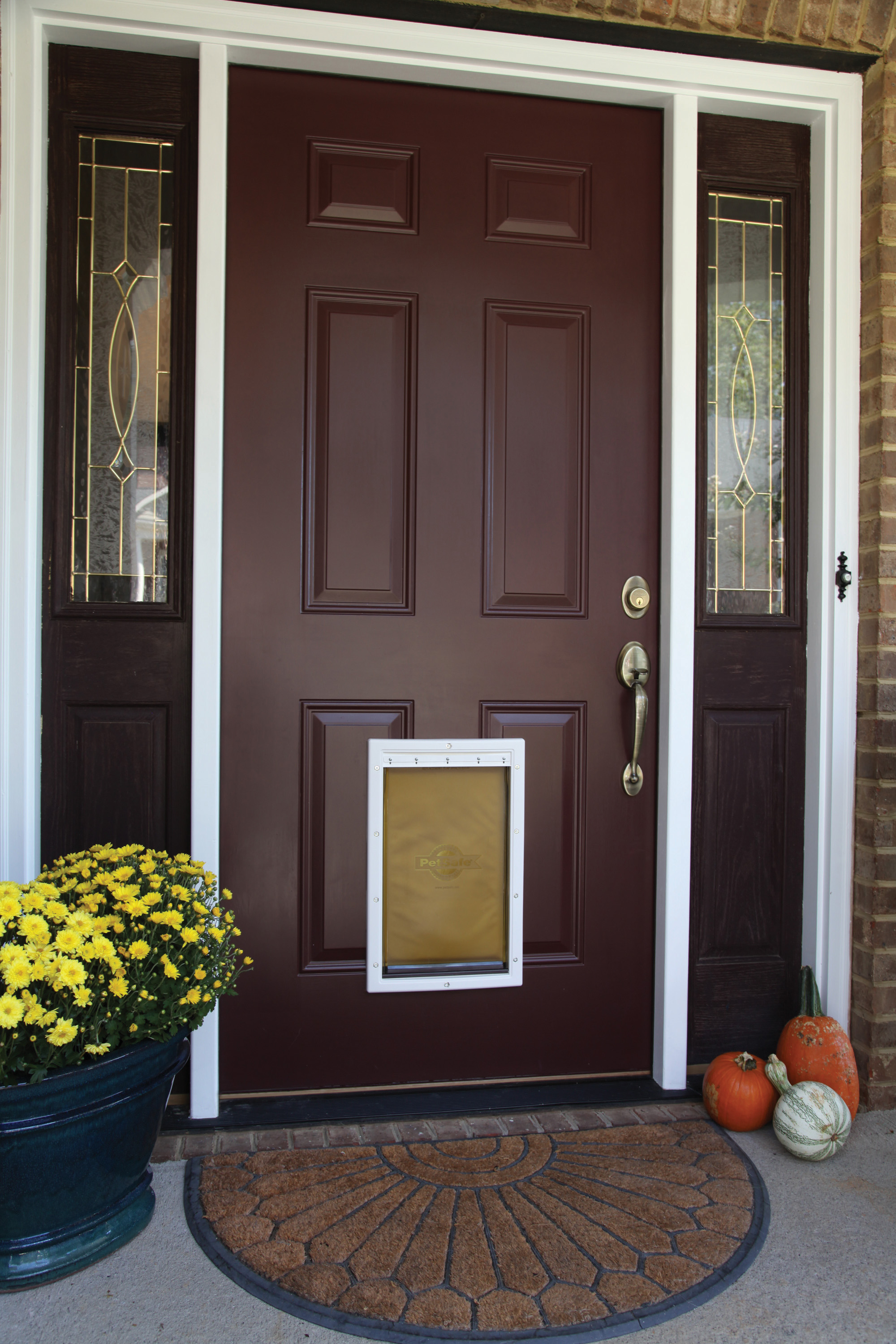 Petsafe Extreme Weather Door - Medium 