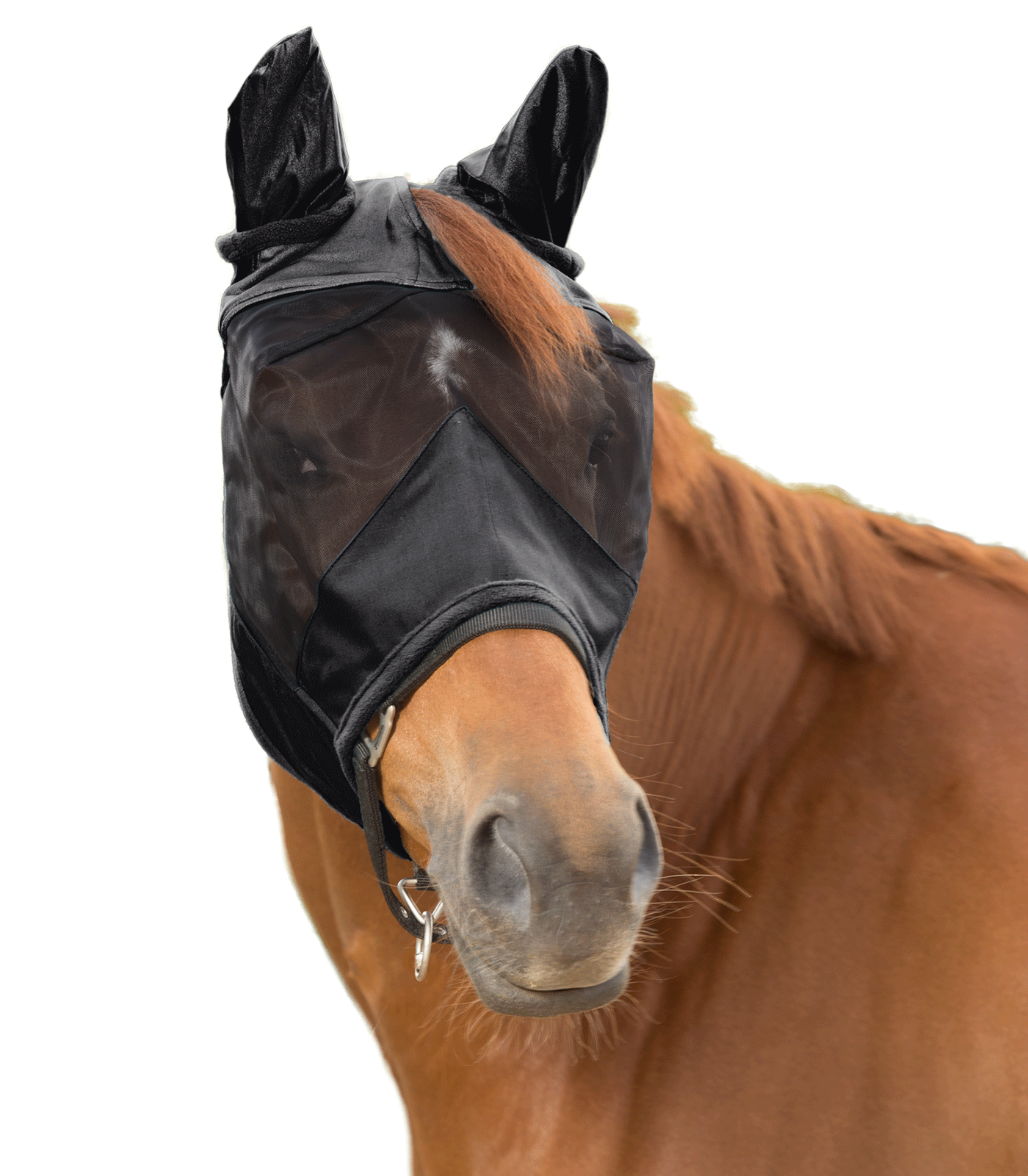 Waldhausen PREMIUM 3-in-1 Fly Mask black