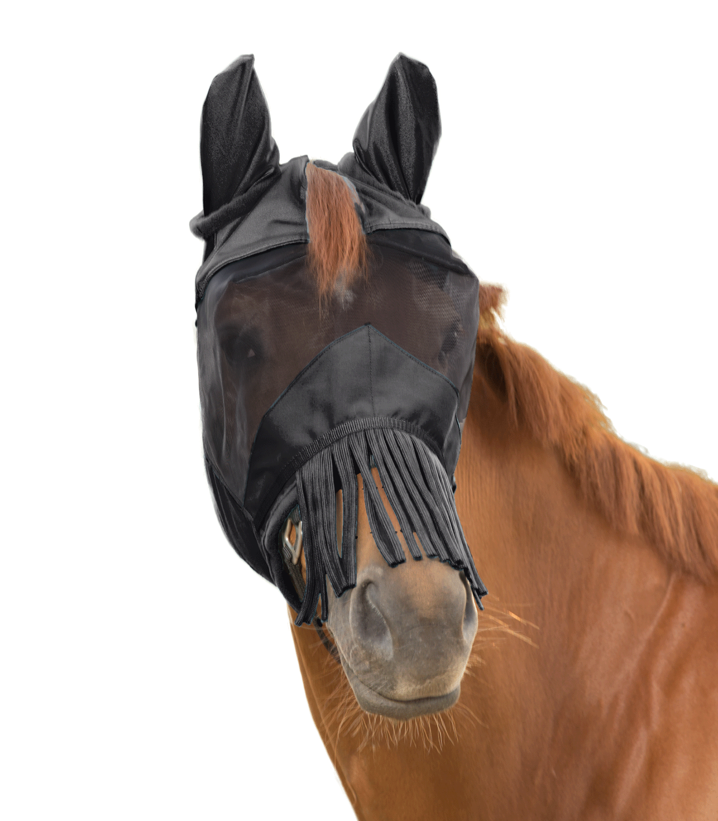 Waldhausen PREMIUM 3-in-1 Fly Mask black - 2