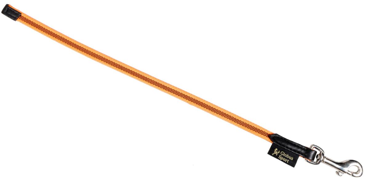 Globus Sport Trainingcollars - grip