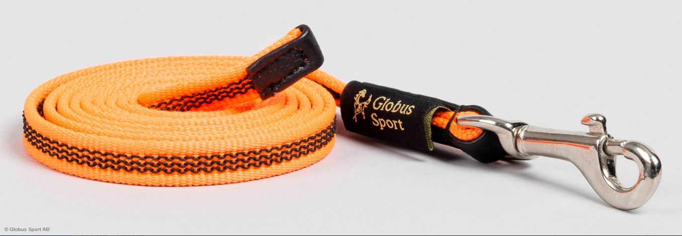 Globus Sport Trainingcollars - Orange