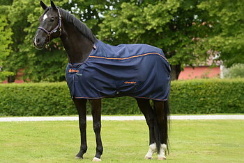BucasBucas Therapy Mesh Cooler Loimi Poni - Tummansininen/Oranssi Therapy Mesh Cooler Horse Rug Pony Sizes – Navy/Orange, 115