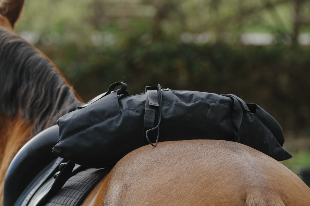 RANDOL'S 'Banane' Saddle Bag Black - 3
