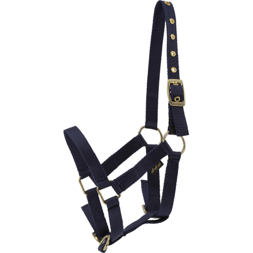 Horse Guard Foal halter navy, ÅRING