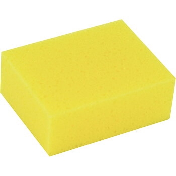 Eldorado Sponge Yellow