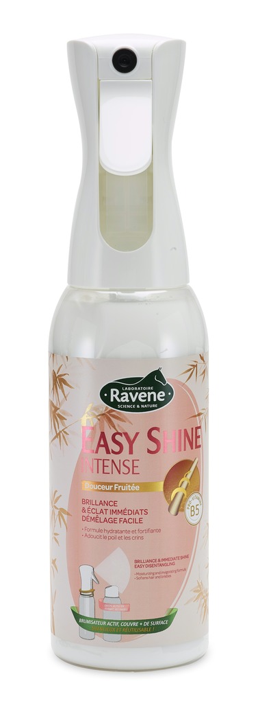Easy Shine RAVENE Intense 500 ml
