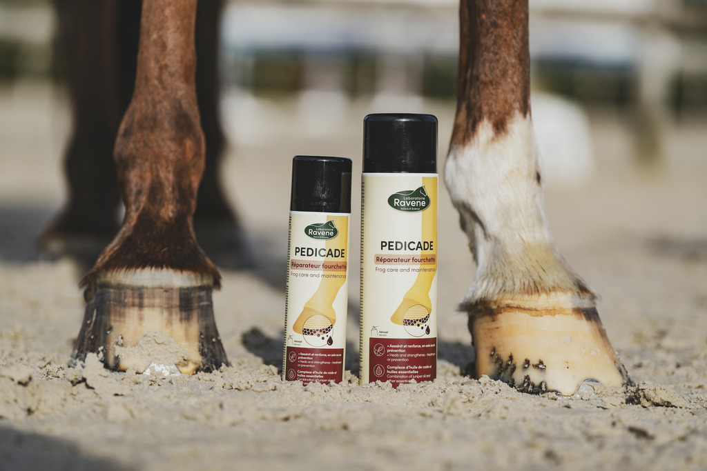 Pedicade RAVENE - 5