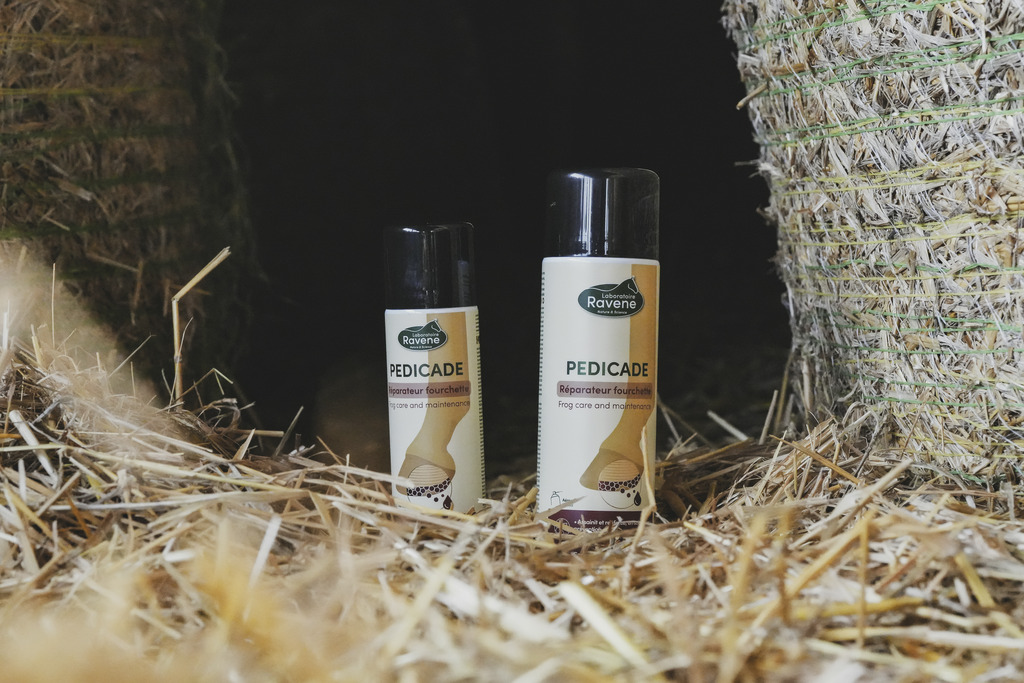 Pedicade RAVENE - 3