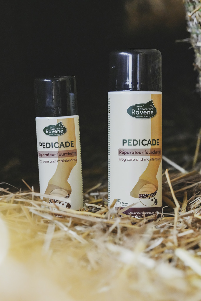Pedicade RAVENE - 4