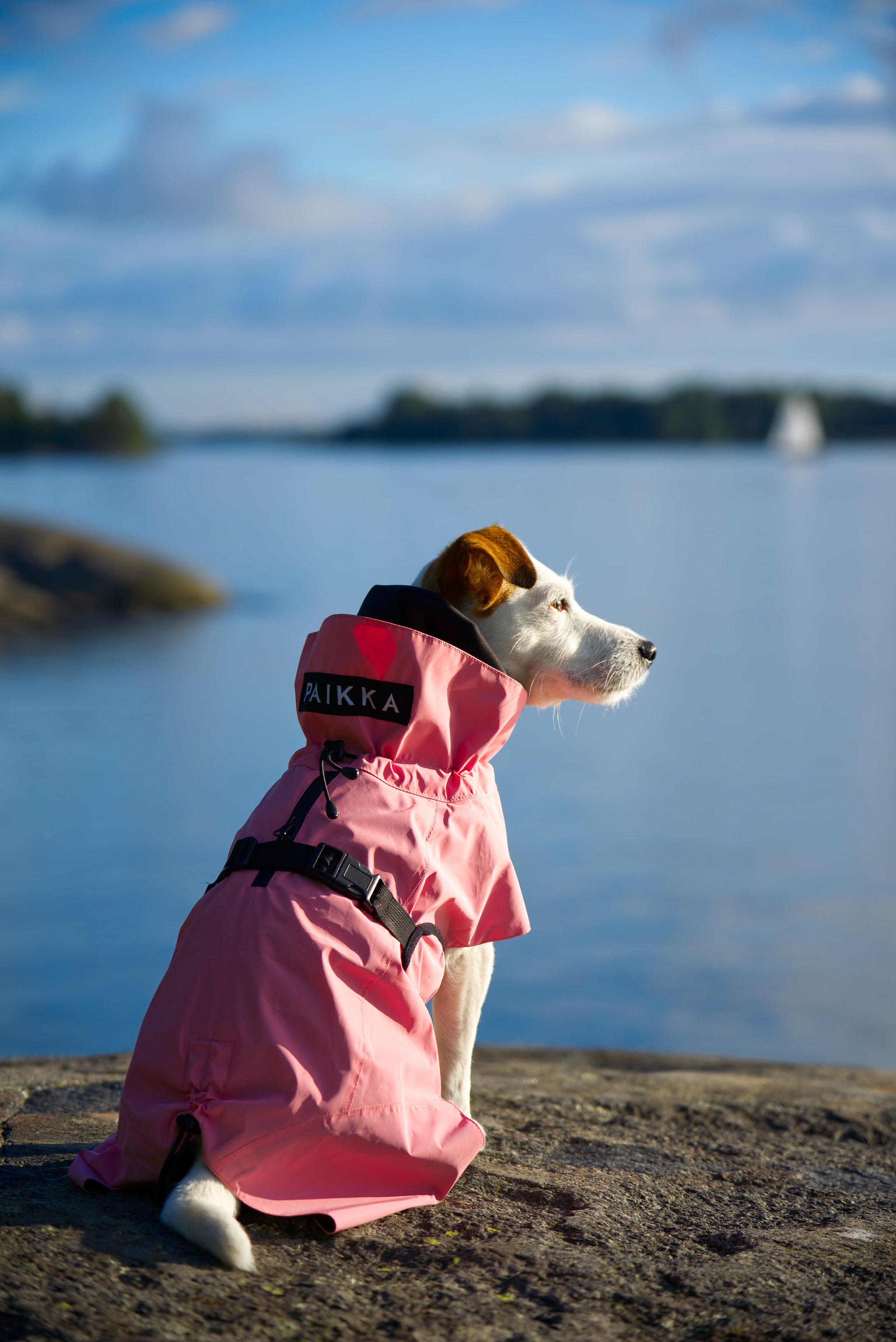 PAIKKA Visibility Raincoat - Pink - Petster Suomi