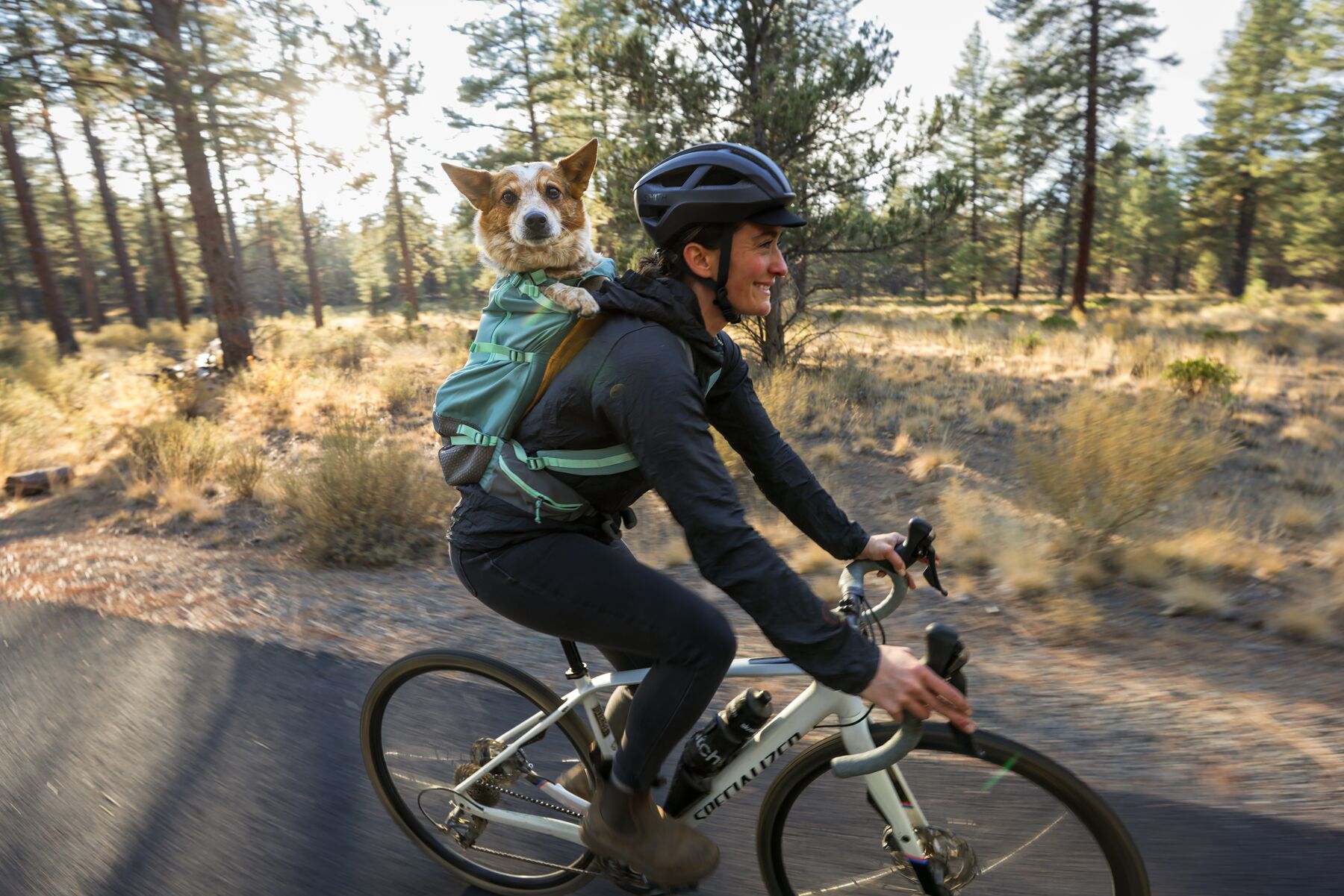 Ruffwear Hitch Hiker Backpack for Carrying Your Dog - Basalt Gray