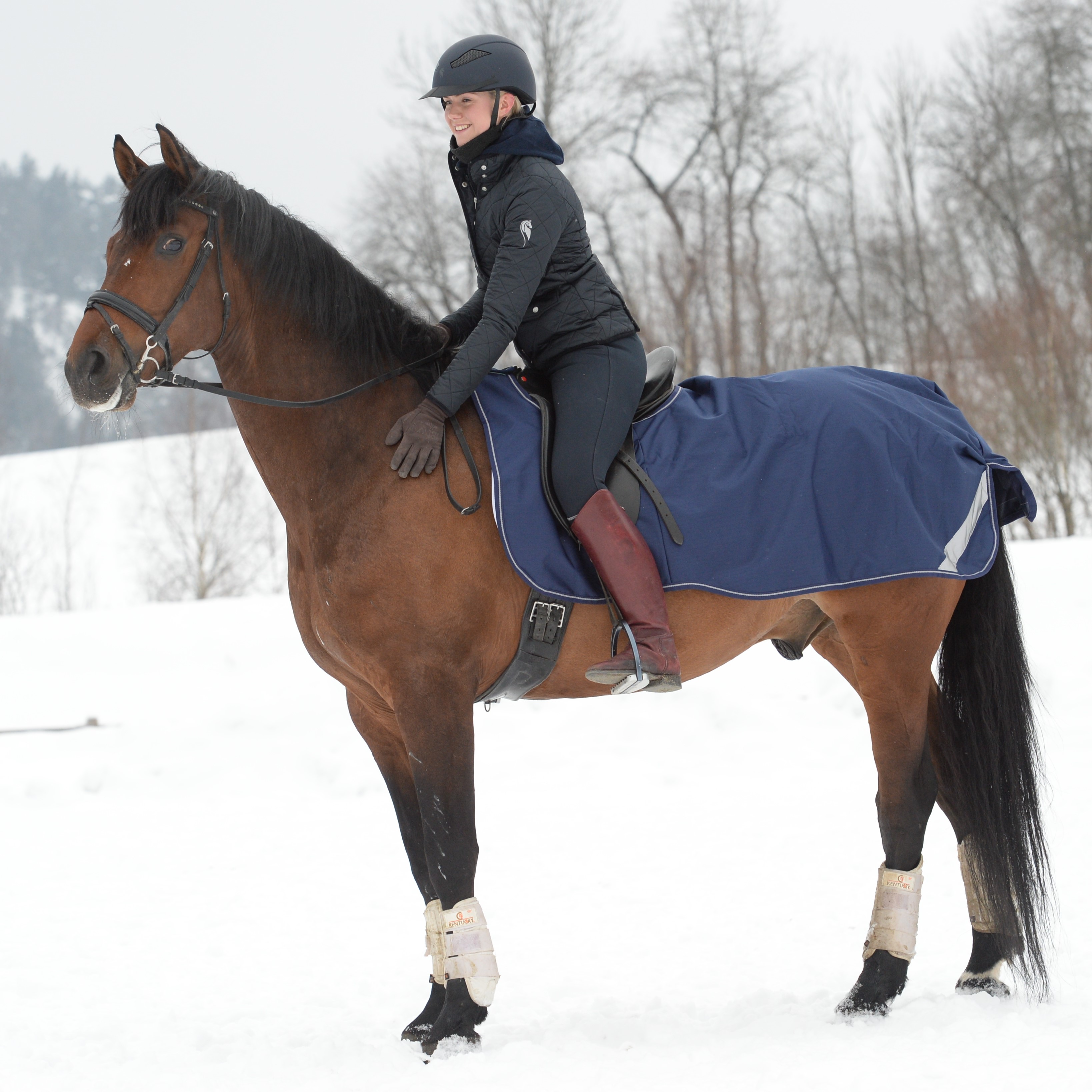 Bucas Riding Rug - Navy - 2
