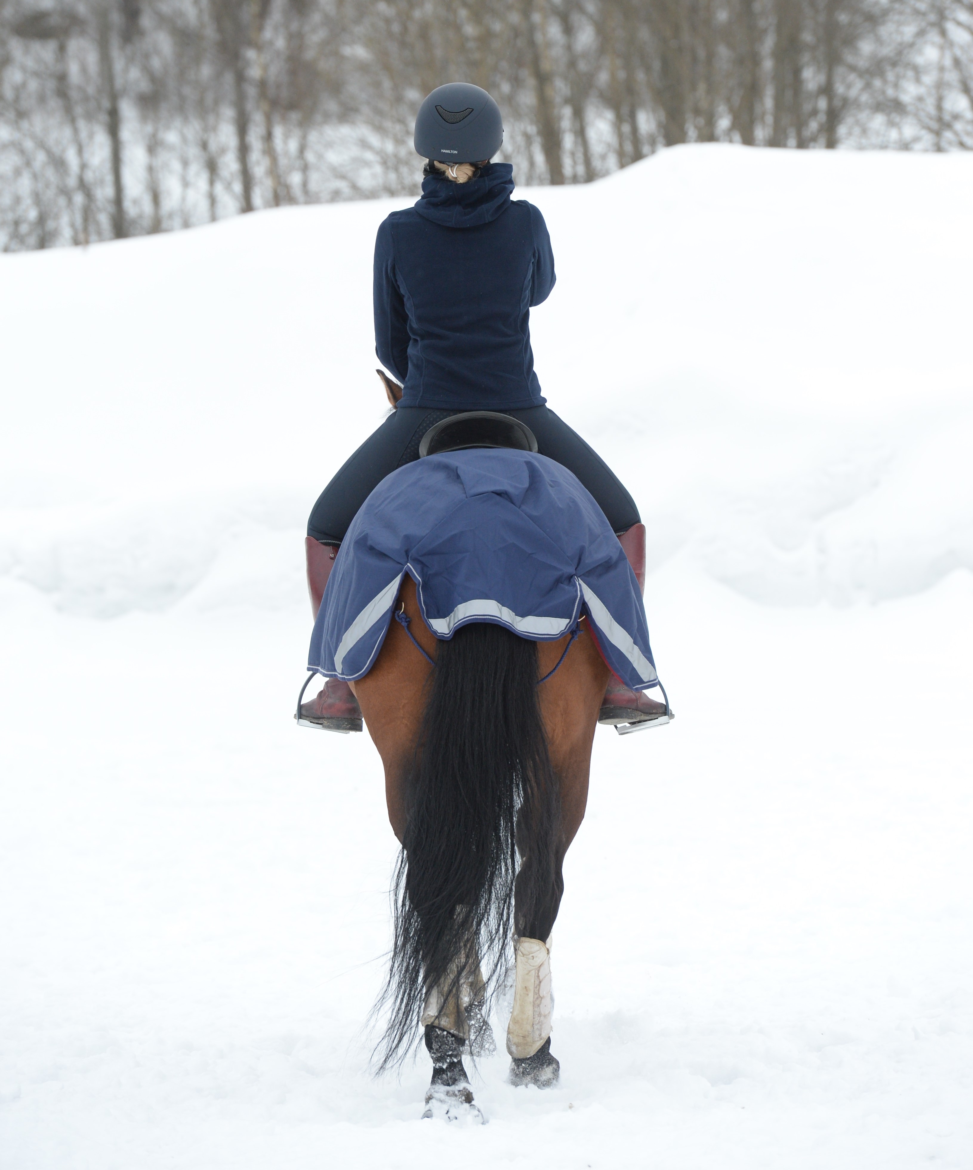 Bucas Riding Rug - Navy - 3