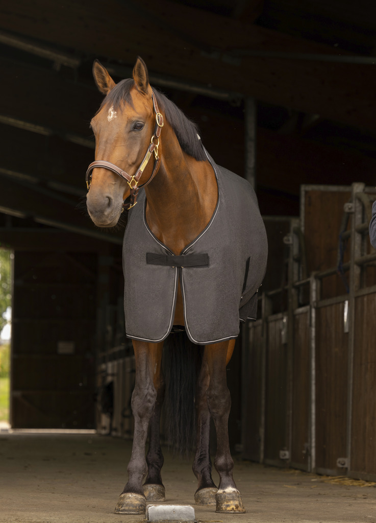 EQUITHEME Chin Polar Fleece Kesäloimi Chiné Grey - 2