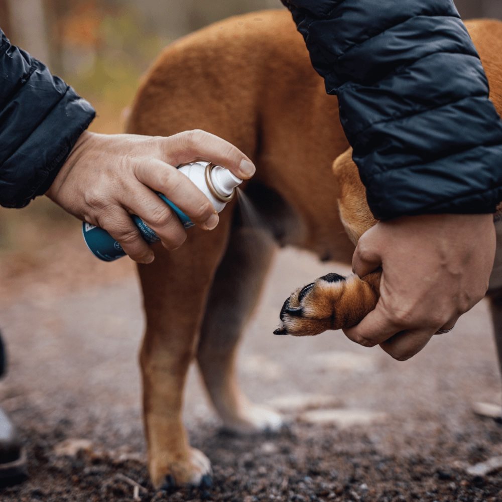 Emollivet Paw+ Emollient Spray for Paws – 50 ml - antibacterial