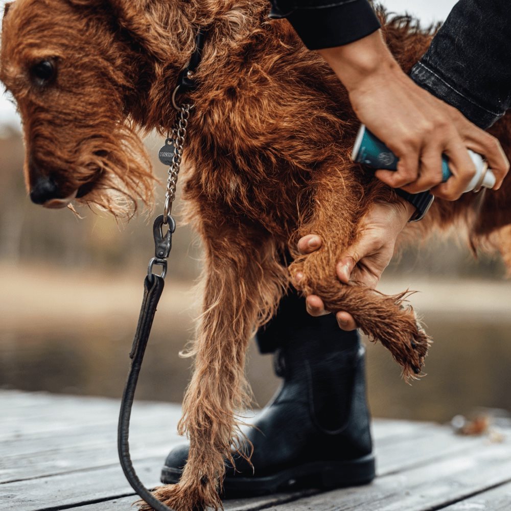 Emollivet Paw+ Emollient Spray for Paws – 50 ml - antiseptic