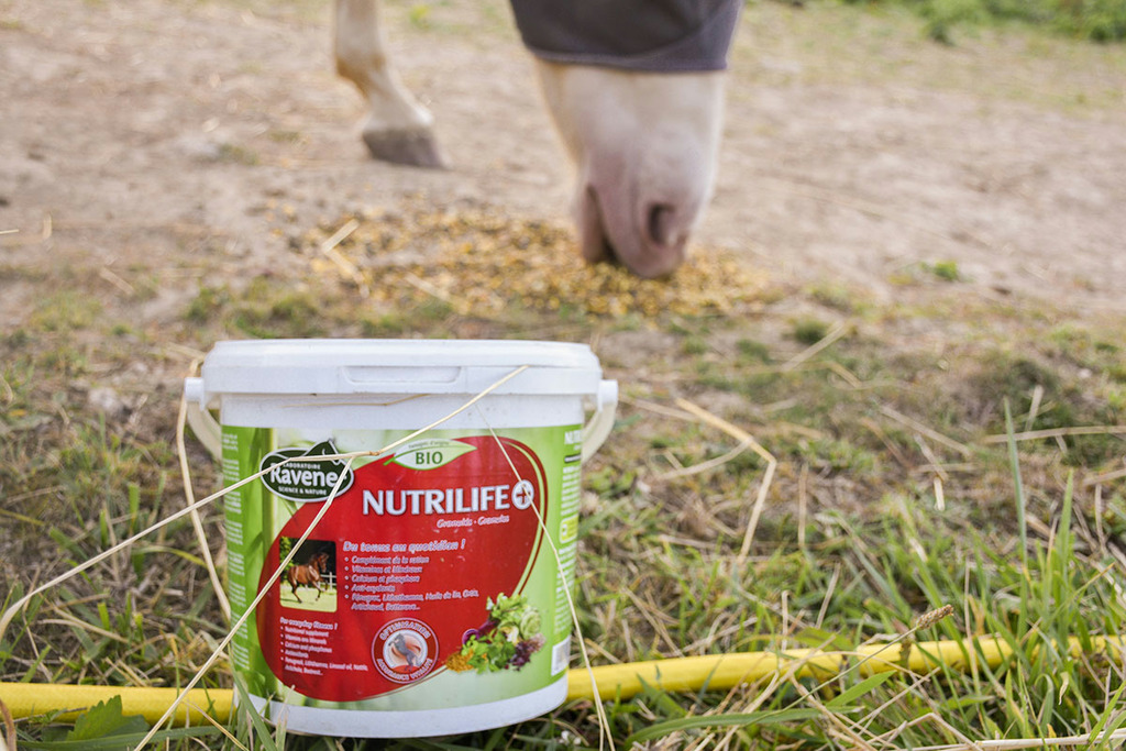 RAVENE Nutrilife+ Fodertillskott 2,7 kg - 3
