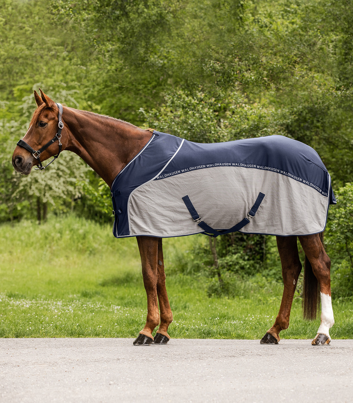 Waldhausen Cooler Fly-Summer Rug midnight blue/gray