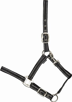 HorseGuard Rio Halfter - Schwarz, FULL