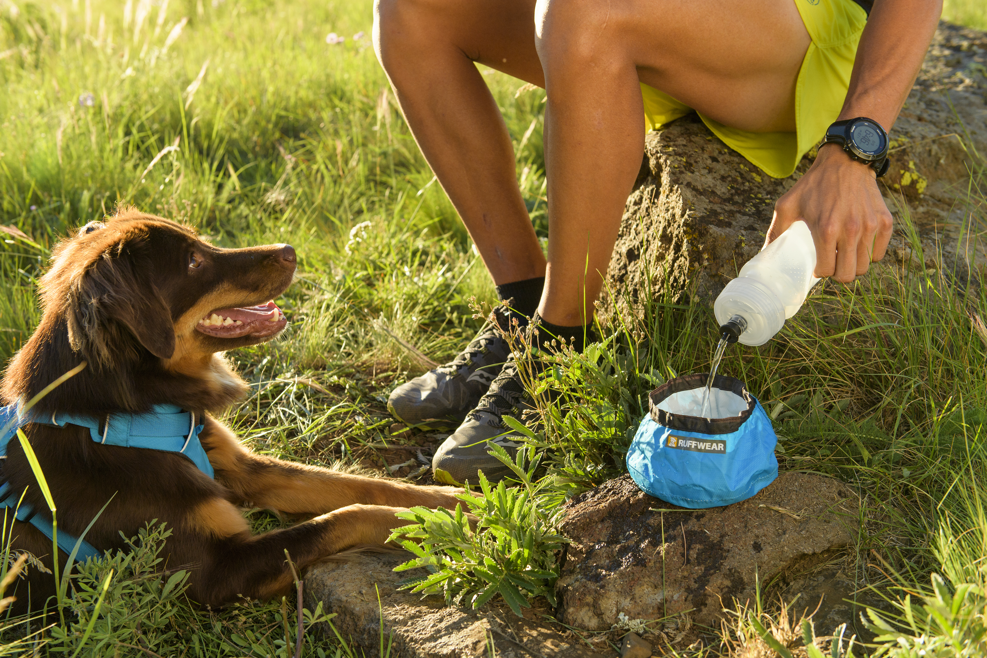 ruffwear water bladder