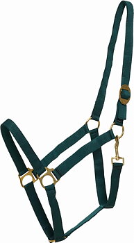 HorseGuard Nylonhalfter - Grün, X-FULL
