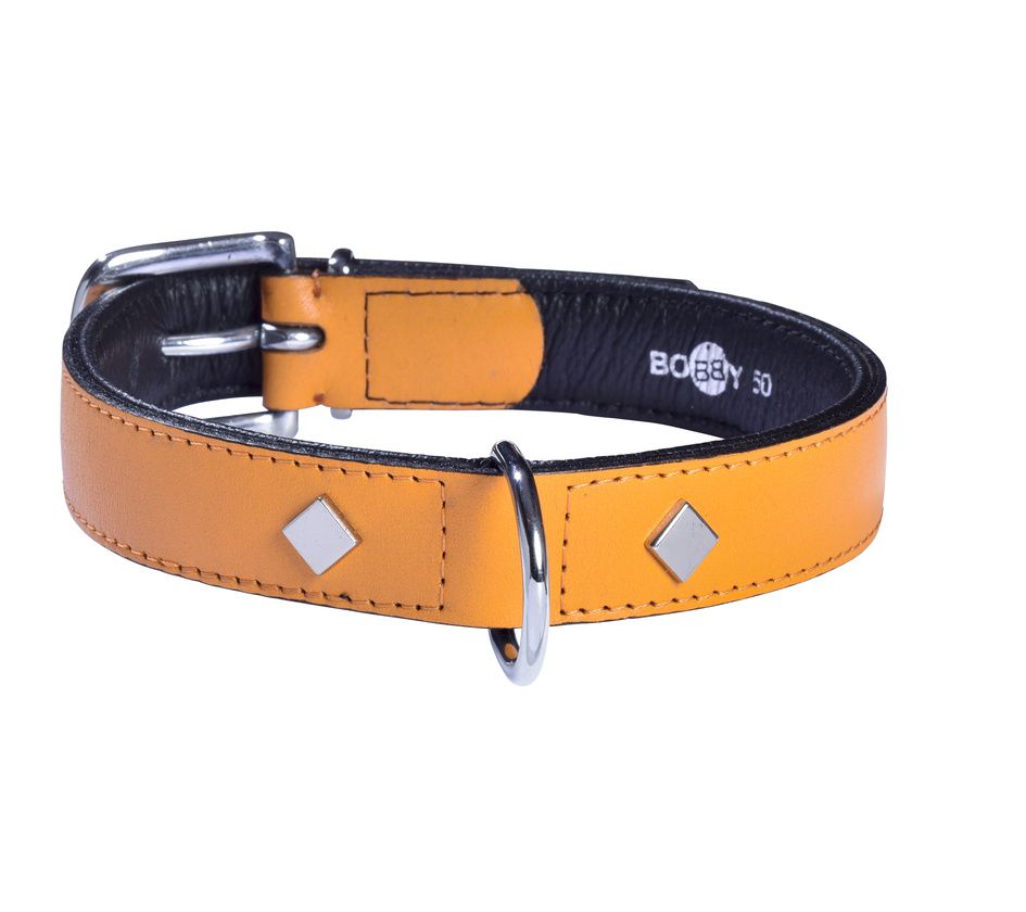 bobby dog collar