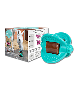 Bizzy Ball – Aqua