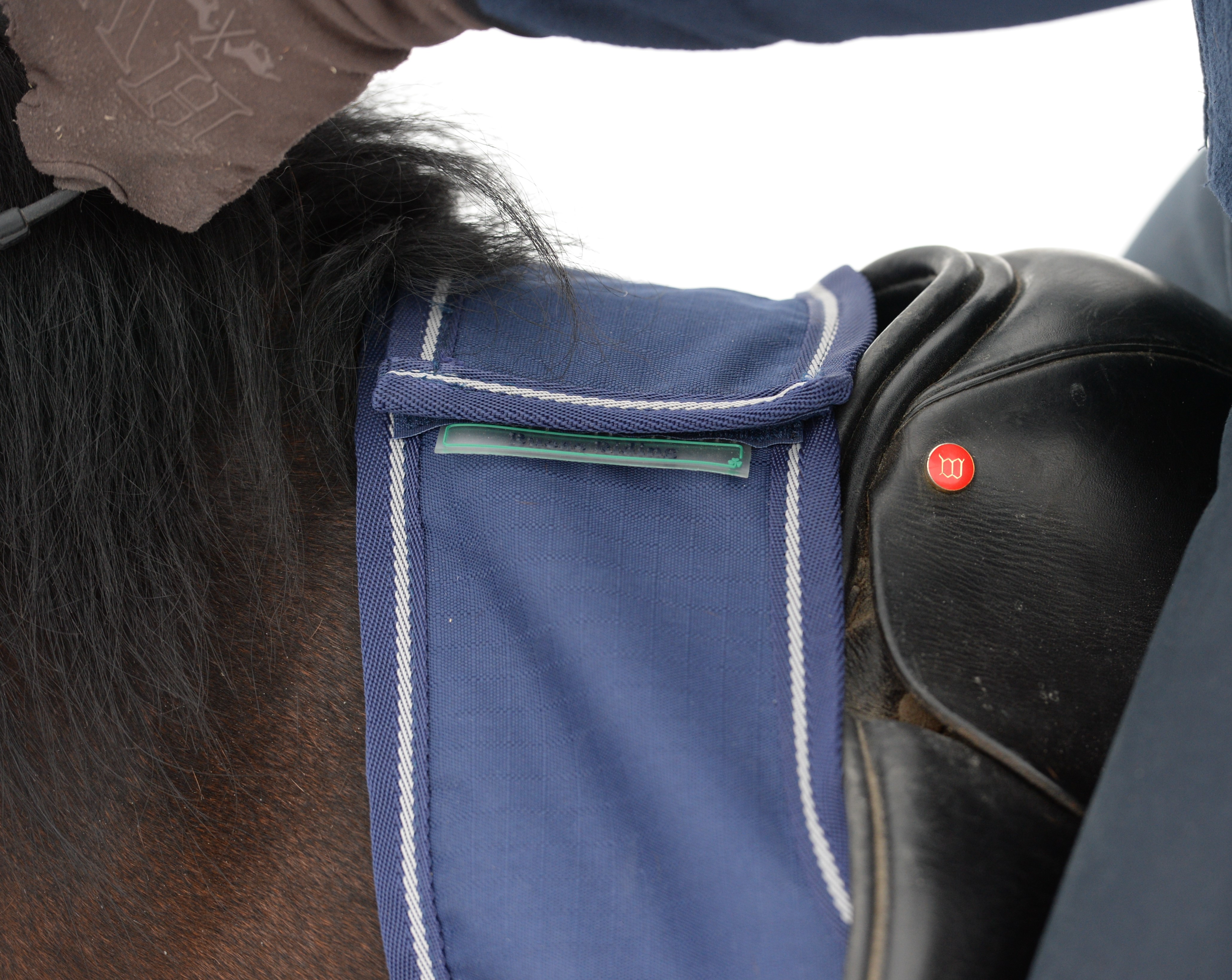 Bucas Freedom Riding Rug Quarter Sheet - 3