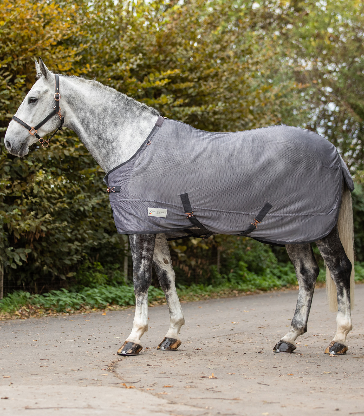 Waldhausen COMFORT Fly Rug with crossover straps gray