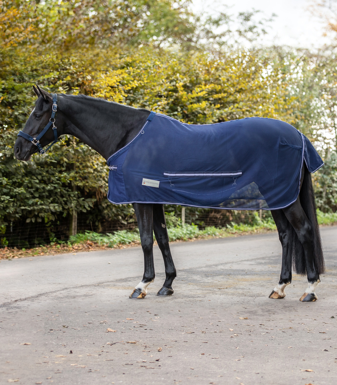 Waldhausen Comfort Fly Rug, with belly flap midnight blue