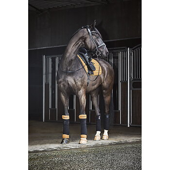CATAGO SAVI bridle Musta, Poni